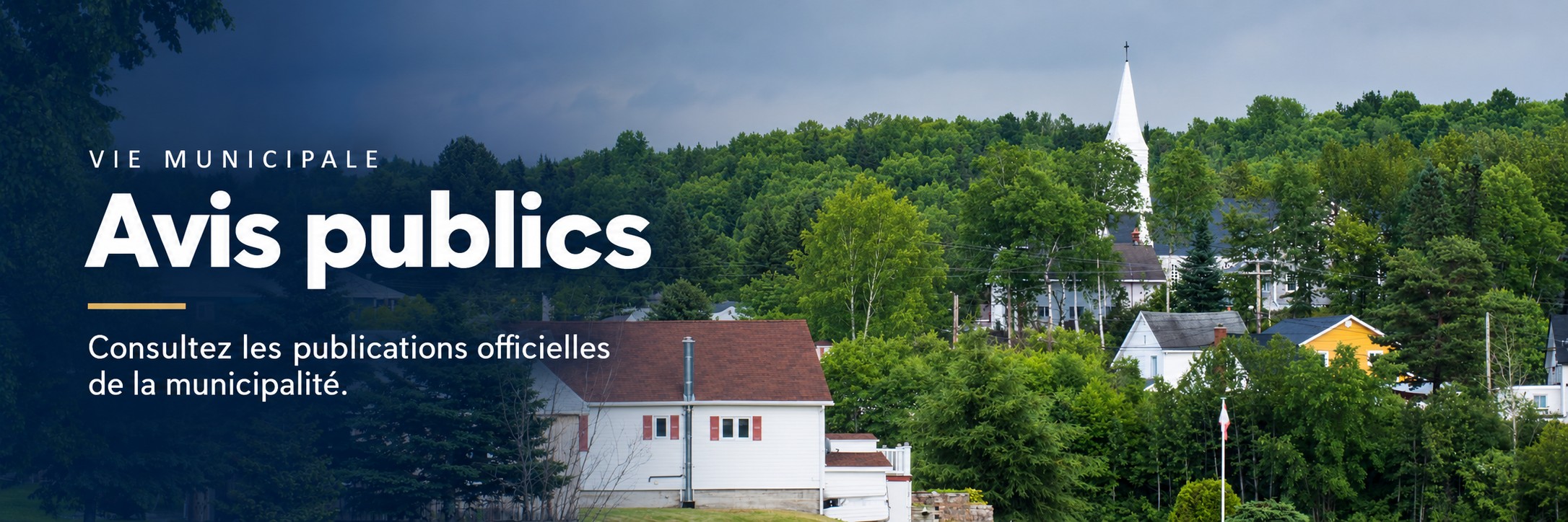 avispublic